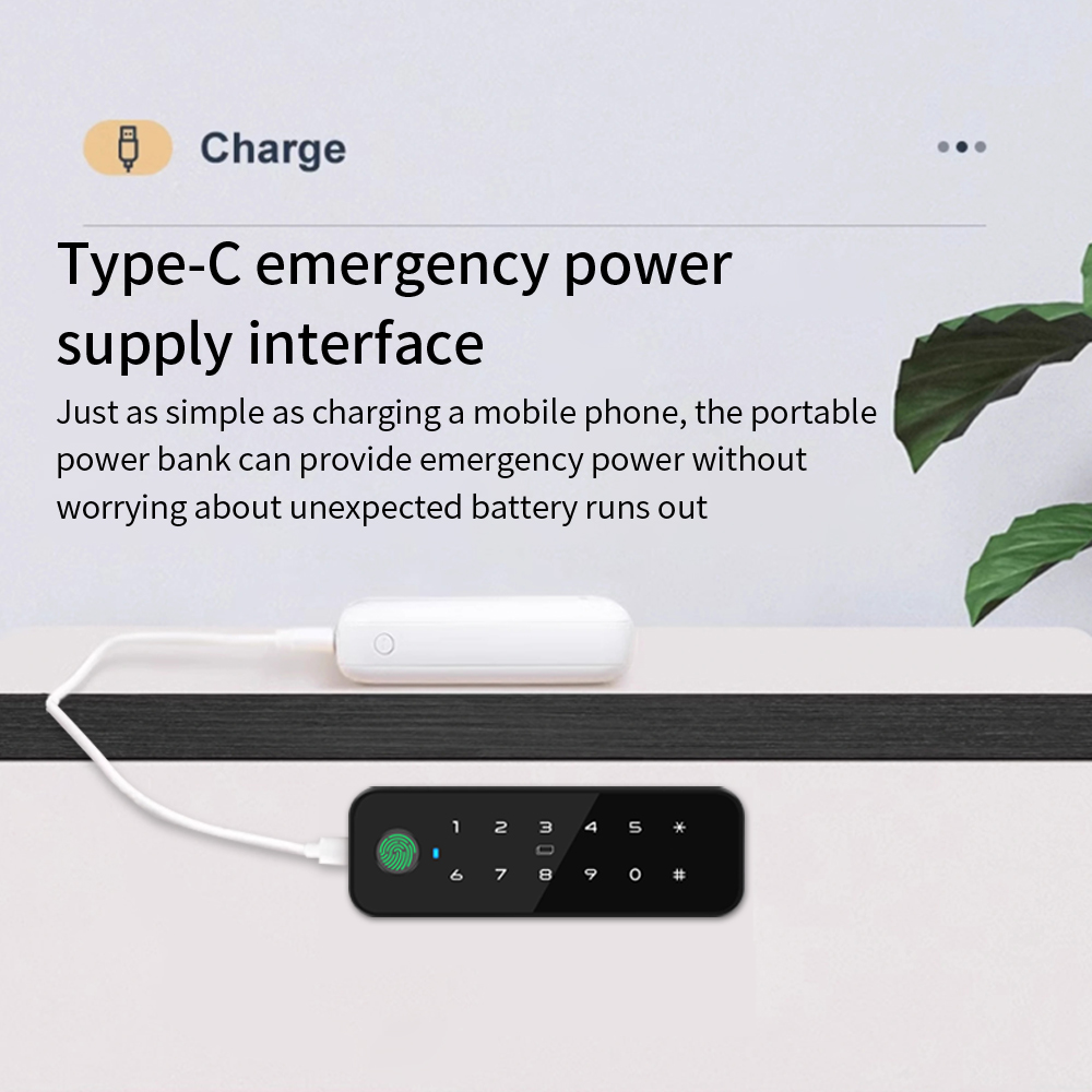 Tuya Bluetooth Akıllı Ahşap Do - Furniture Interlocking Hardware incelemesi ve fiyatı